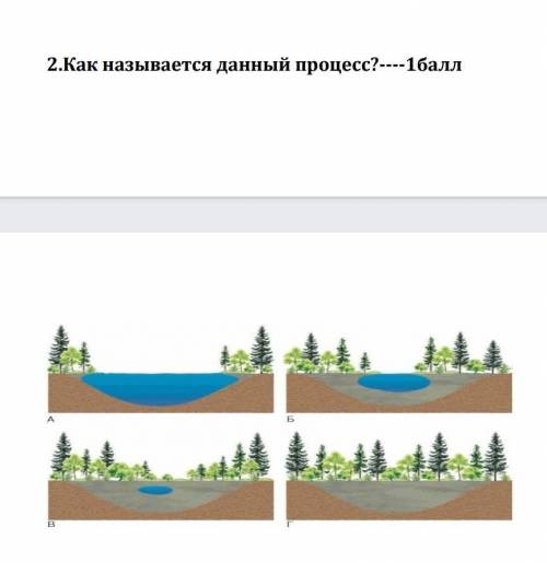 Как называется данный процесс​