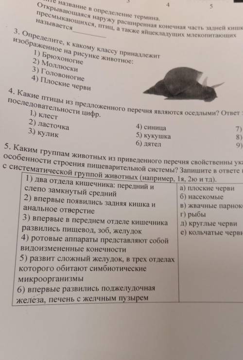 каким группам животных из приведённого перечня свойственного указанные особенности строения пищевари