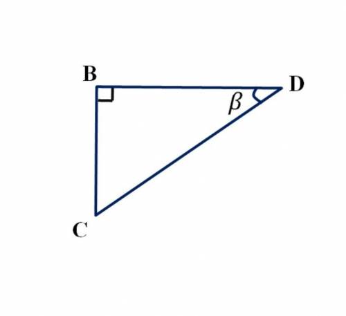 Для нахождения катета ΔBCDсправедлива формула:Укажите правильный вариант ответа:BC=CD⋅cosβBC=CD⋅sinβ