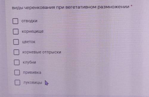 Виды черенкования при вегетативном размножении: отводкиКорнецищеЦветоккорневые отпрыскиклубнипрививк