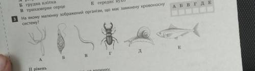 на якому малюнку зображений організм що має замкнуту кровоносну систему !​