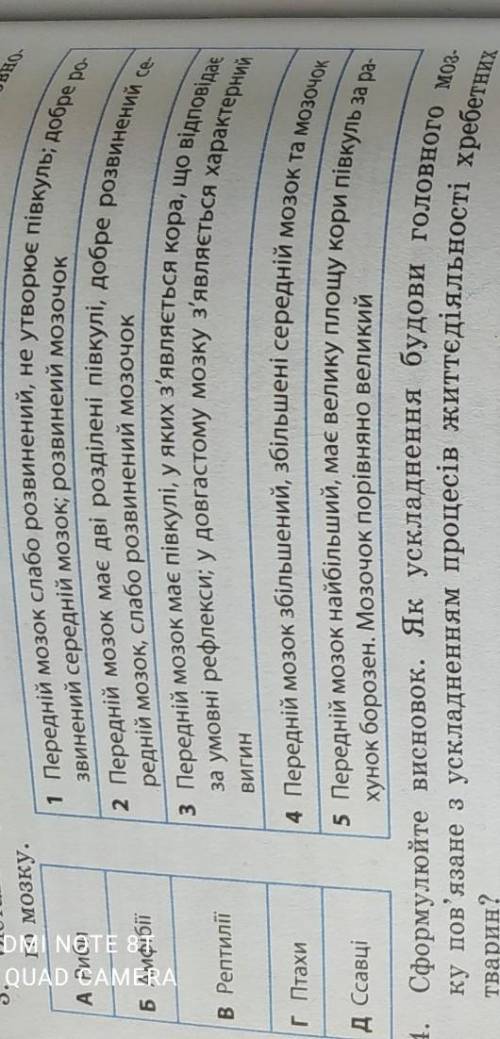 Зіставте групу хребетних тварин з особливостями їх головного мозку НУЖНО ПО ФОТО​