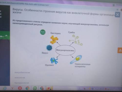 Билим ленд. 7 класс. Биология ​