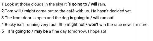 1 Underline the correct answer. 1 Look at those clouds in the sky! It ’s going to / will rain. 2 Tom