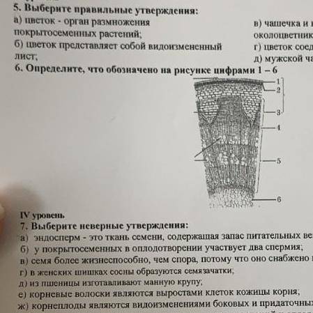 6. Определите, что обозначено на рисунке цифрами 1-6