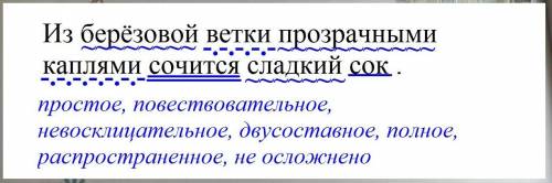 Сентитический разбор предложения .Из берёзовой ветки прозрачными каплеми сочиться сладкий сок .​