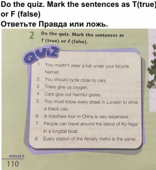 Do the quiz. Mark the sentences as T(true) or F (false) ответьте Правда или ложь. help