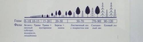 Задание 2.наобъясните причины смены экосистем, изображенныхрисунке.​