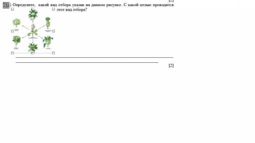 Определите, какой вид отбора указан на данном рисунке. С какой целью проводится этот вид отбора?