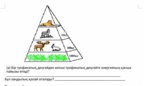 бір трофикалық денгейден екінші трофикалық деңгейге энергияның қанша пайыз өтеді ?бұл зандылық қалай