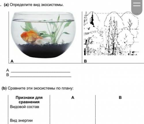 Сравните эти экосистемы по плану b нужно ​