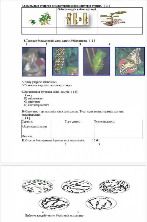 Биология тжб 7 клас 4 токсан надо