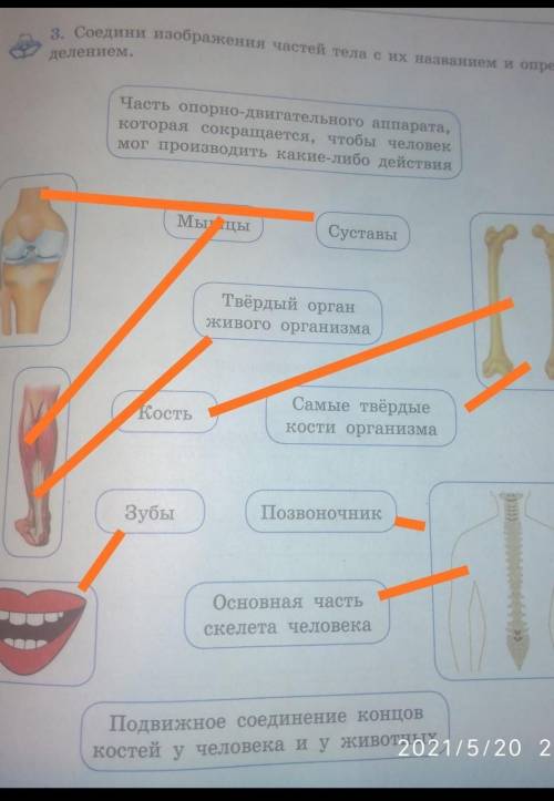 по родина видению делай лучше ответ​