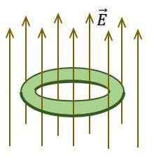 Тороид из магнитного вещества находится в переменном электрическом поле, линии напряжённости которог