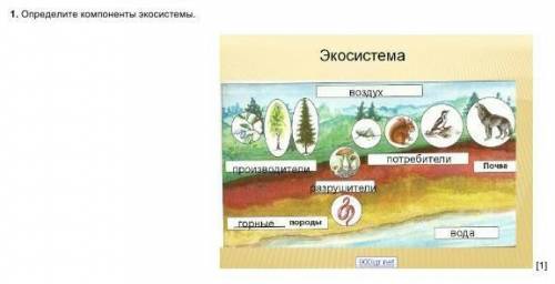 Апредели компоненты экосистемы​