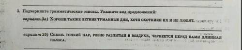 укажите граматические основы и укажите вид предложения и 1 предложения и 2 ​