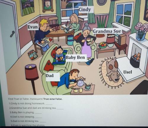 Describe the picture using the Present continuous tense structure find true or false ​