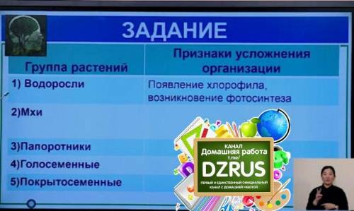 Нр быстро надо по ботанике онлайн урок признаки увлажнение и т.д