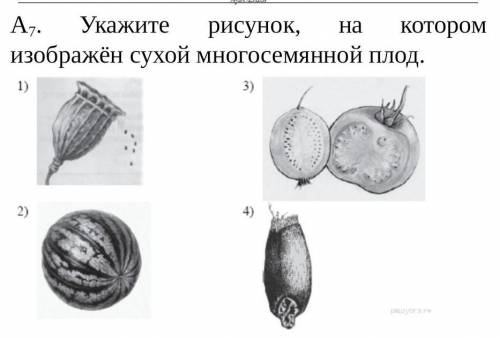 Укажите рисунок, на котором изображён сухой многосемянной плод.​