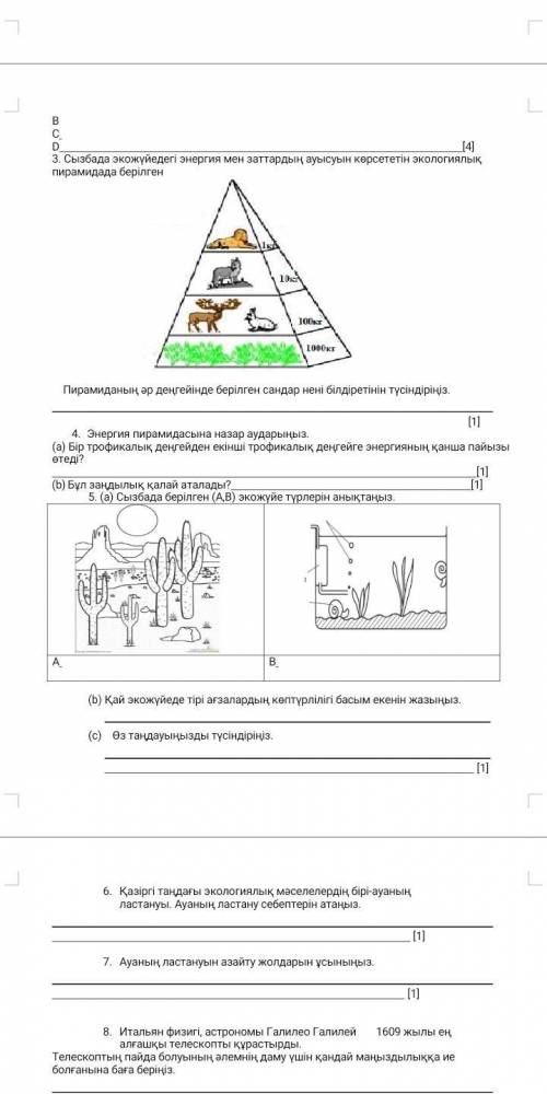 Естествознание Соч 6 класс 4 четверть