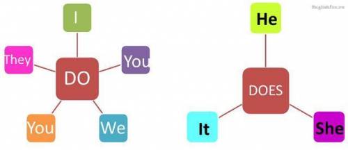 Open the brackets. Complete the sentences with «don't» or «doesn't». 1. He (not / to wash) the dishe