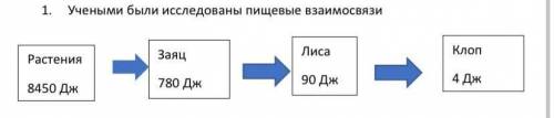 1. Учеными были исследованы пищевые взаимосвязи А) Составьте пирамиду энергии. Б) Высчитайте энерги