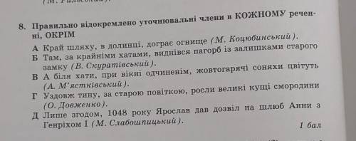 Правильно відокремлено уточнювальні члени в КОЖНОМУ реченні, ОКРІМ