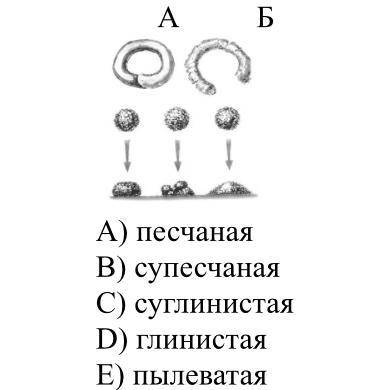 1. Механический состав почвы, обозначенной буквой А