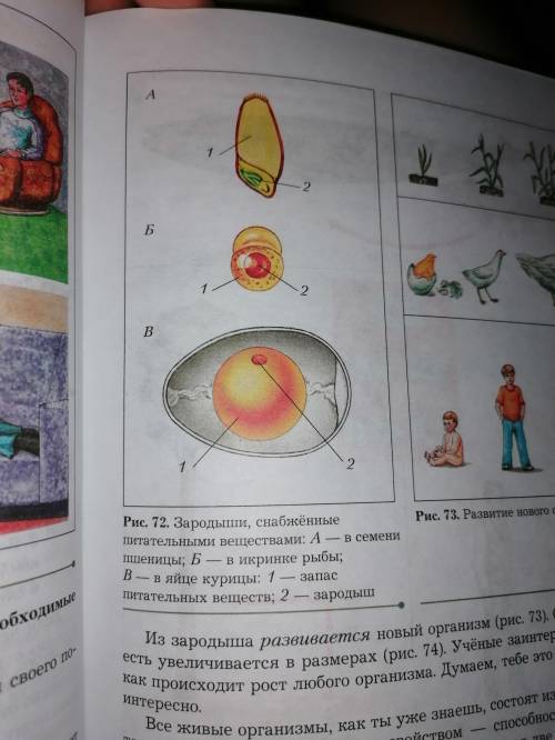 Рассмотреть рисунок и сделать вывод