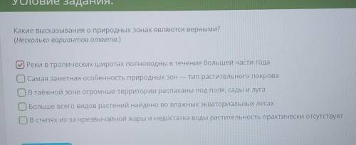 Какие высказывания о природных зонах являются верными ​