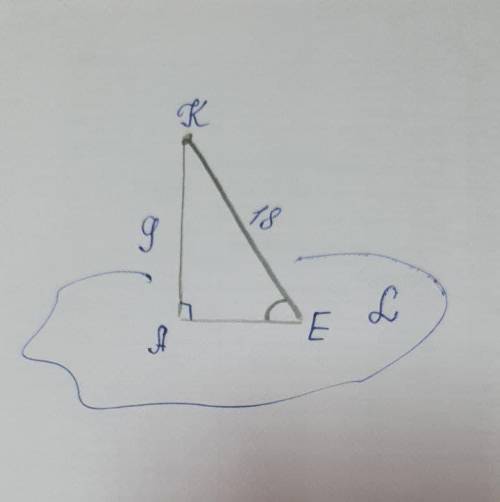 З точки К до площини а проведено похилу КЕ завдовжки 18 см. Чому дорівнює кут між похилою КЕ і площи
