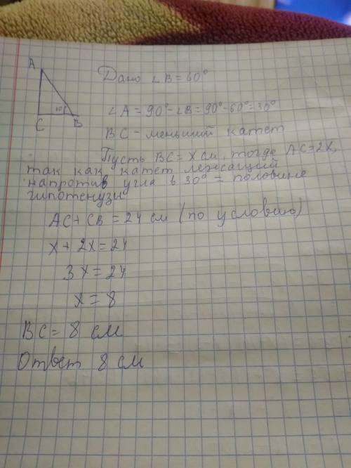 Один из острых углов прямоугольного треугольника равен 60° а сумма меньшго катета и гипотенузы равна