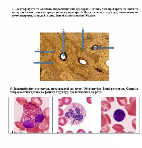 Что изображено на этих картинках? скажите названия ​