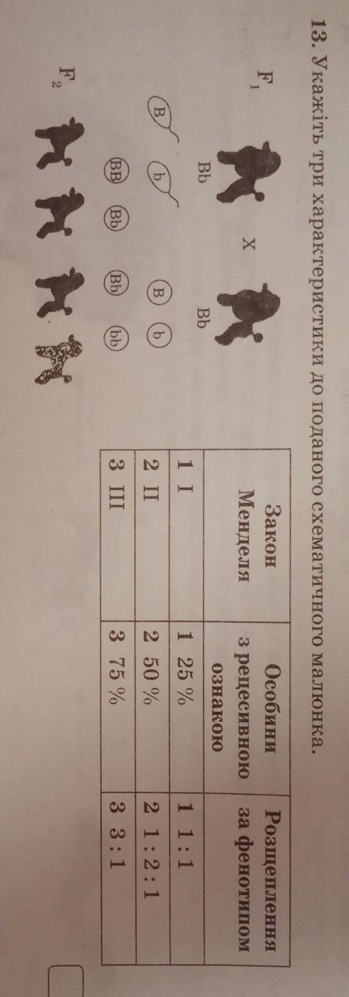 9 клас Укажіть три характеристики до поданого схематичного малюнка​