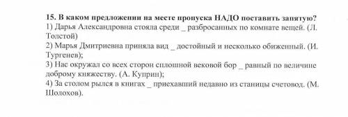 В каком предложении на месте пропуска НАДО поставить запятую?