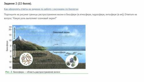 Задание 2 Как оформлять ответы на задания по работе с рисунками по биологии Подпишите на рисунке гра