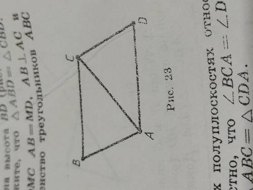 . Точки B и D лежат в разных полуплоскостях относительно прямой AC. Известно, что ∆ABC = ∆CDA