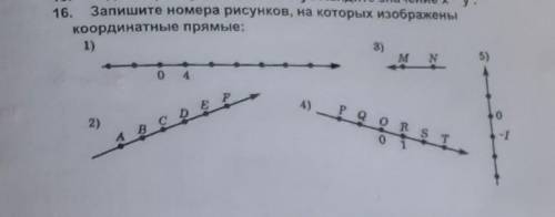 16. Запишите номера рисунков, на которых изображены Координатные прямые​