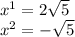 {x}^{1} = 2 \sqrt{5} \\ {x}^{2} = - \sqrt{5}