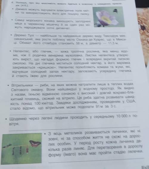 4 Натии, про яку властивість живого йдеться дів (4 б.). в кожному з наведених прикладів