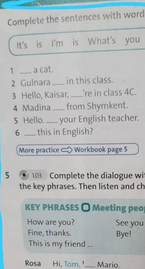 4.Complete the sentences with words in the box. __a cat. Gulnara__in this class. Hello,Kausar__'re i