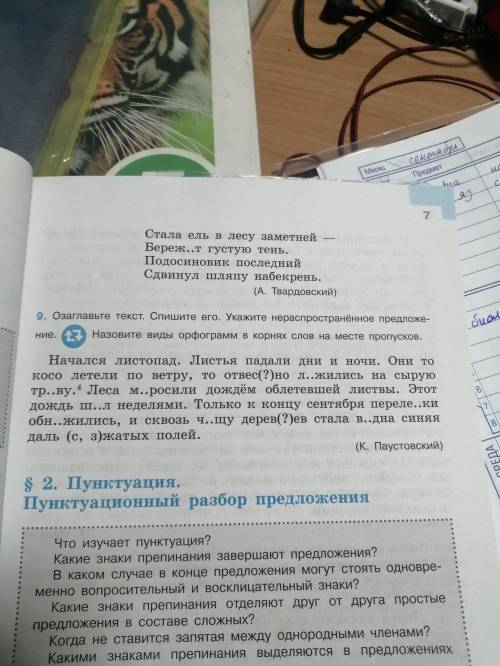 Упр. 9 предложение 3 4 5 6 синтаксический разбор.