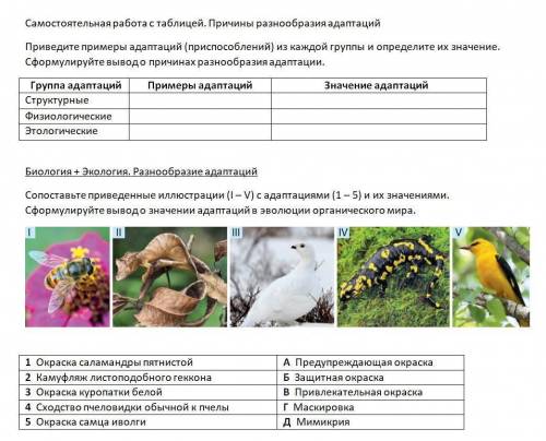 Здравствуйте по биологии. Тема: Причины разнообразия адаптаций. Нужно заполнить таблицу и составить