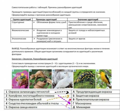 Здравствуйте по биологии. Тема: Причины разнообразия адаптаций. Нужно заполнить таблицу и составить