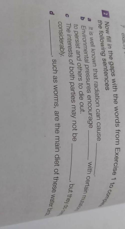 Now fill in the gaps with the worlds from exercise 1 to complete the following sentences.