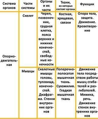 Жизненные функции организма человека таблица Заполнить таблицу