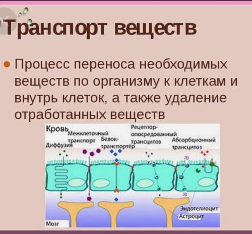 Жизненные функции организма человека таблица Заполнить таблицу