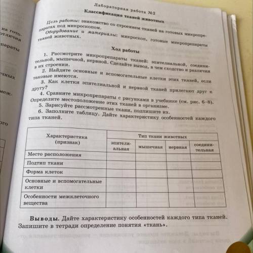 2. Найдите основные и вс клетки этих тканей, если таковые имеются. 3. Как клетки эпителиальной и нер