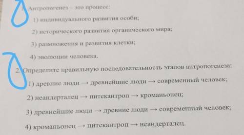 1. Антропогенез – это процесс: 1) индивидуального развития особи;2) исторического развития органичес