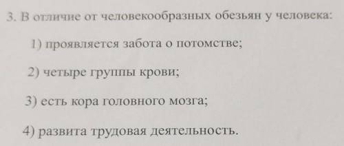 3. В отличие от человекообразных обезьян у человека: 1) проявляется забота о потомстве;2) четыре гру